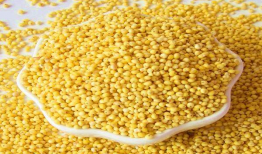 大黄米,传统美食的传承与创新之旅