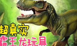 龙的视频,探寻神秘生物的传奇故事